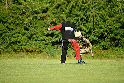 Bexter vom puren Leben