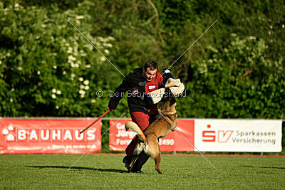Bexter vom puren Leben