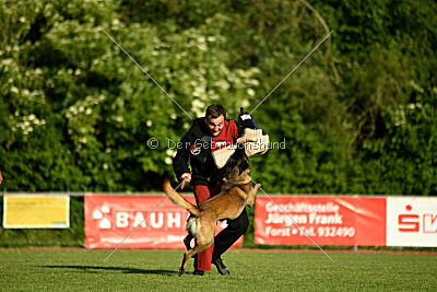 Bexter vom puren Leben