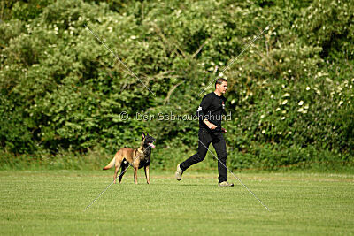 Bexter vom puren Leben