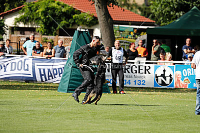 Bexter vom tapferen Krieger