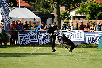 Bexter vom tapferen Krieger