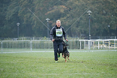 Bexter vom tapferen Krieger