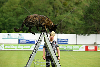 Bico z Kimovy smecky