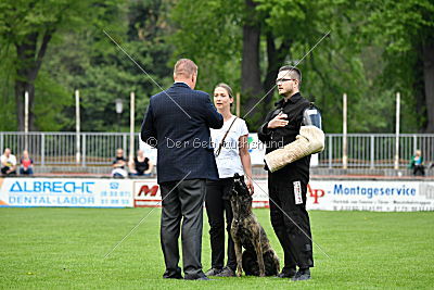 Bico z Kimovy smeèky