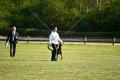 Bico z Kimovy smeèky