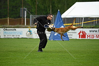 Billie vom Haus Mecki