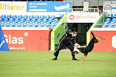 Bingo vom Peiner Burgpark