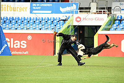 Bingo vom Peiner Burgpark