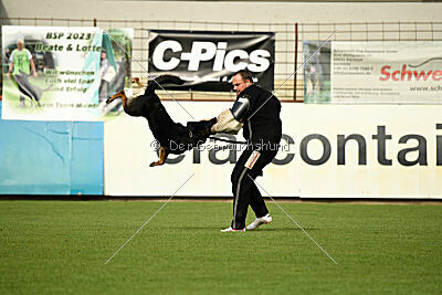 Bingo vom Peiner Burgpark