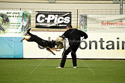 Bingo vom Peiner Burgpark