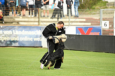 Bingo vom Peiner Burgpark