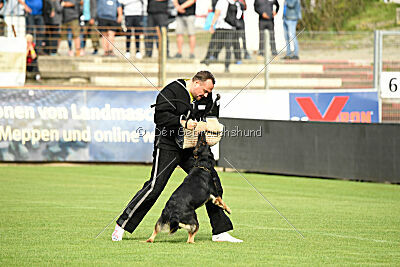 Bingo vom Peiner Burgpark
