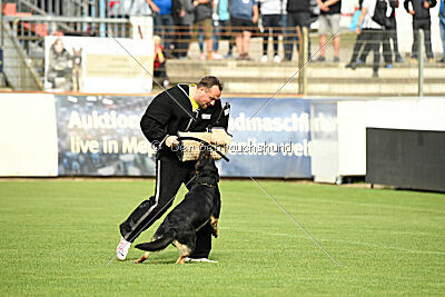 Bingo vom Peiner Burgpark