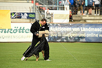Bingo vom Peiner Burgpark