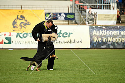Bingo vom Peiner Burgpark