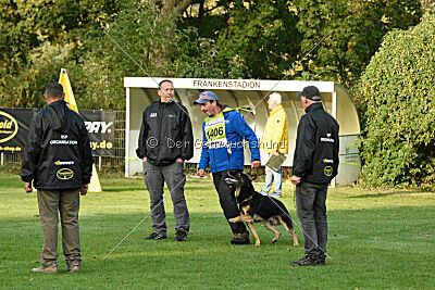 Bingo vom Peiner Burgpark