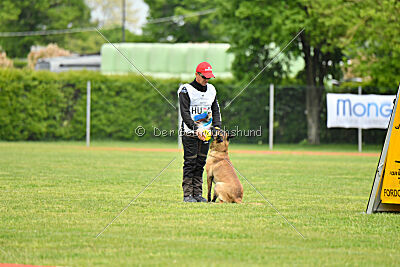 Bingó von Erdhainer Land