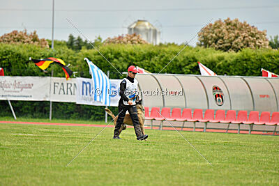 Bingó von Erdhainer Land