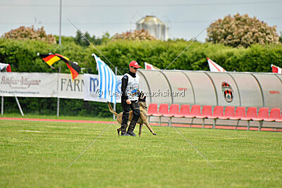 Bingó von Erdhainer Land