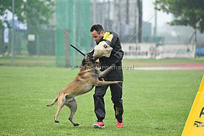 Bingó von Erdhainer Land
