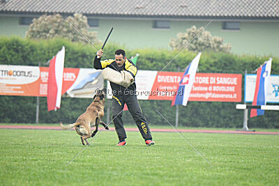 Bingó von Erdhainer Land