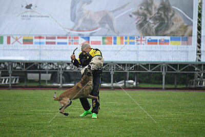 Bingó von Erdhainer Land