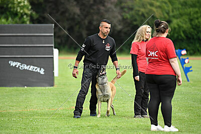 Bison vom bösen Onkel