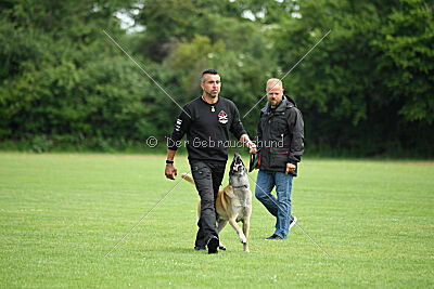 Bison vom bösen Onkel