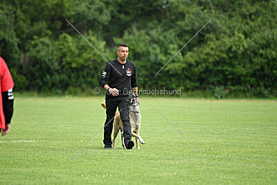 Bison vom bösen Onkel