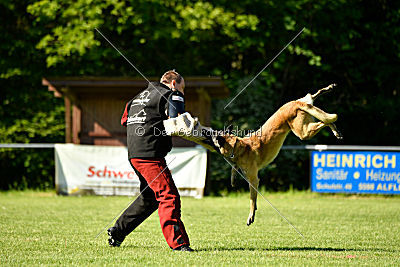 Bison vom bösen Onkel