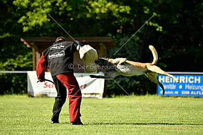 Bison vom bösen Onkel
