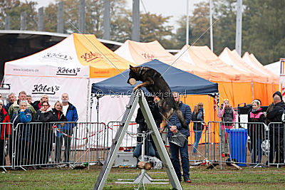 Biss vom Haus Salztalblick