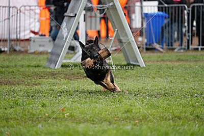 Biss vom Haus Salztalblick