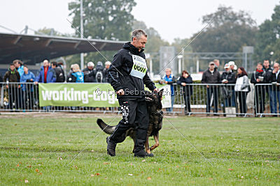 Biss vom Haus Salztalblick