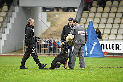 Biss vom Haus Salztalblick