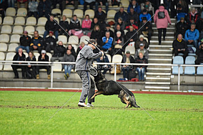 Biss vom Haus Salztalblick