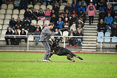 Biss vom Haus Salztalblick