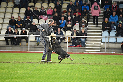 Biss vom Haus Salztalblick