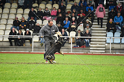 Biss vom Haus Salztalblick