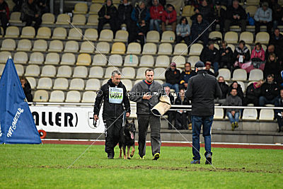Biss vom Haus Salztalblick
