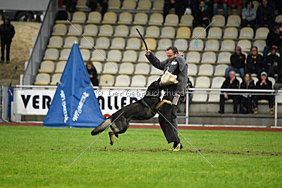Biss vom Haus Salztalblick