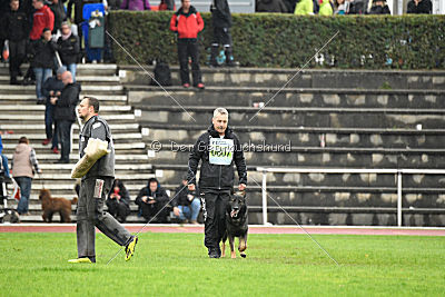 Biss vom Haus Salztalblick