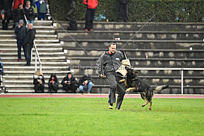 Biss vom Haus Salztalblick