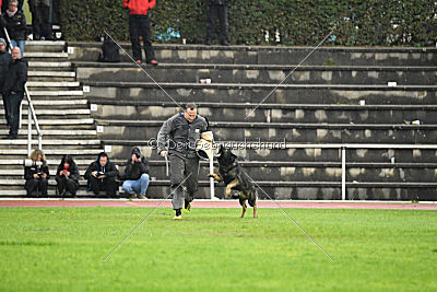 Biss vom Haus Salztalblick