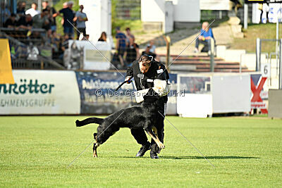 Black-Jack Allgäuer Lausbuben