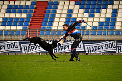 Black Jack vom Hamilberg