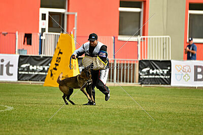 Black Jack vom Heldenkreuz