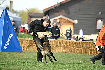 Black Jack vom Heldenkreuz