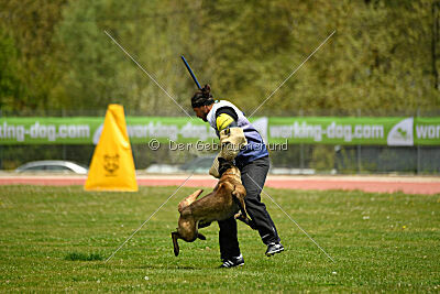 Black Jack vom Heldenkreuz